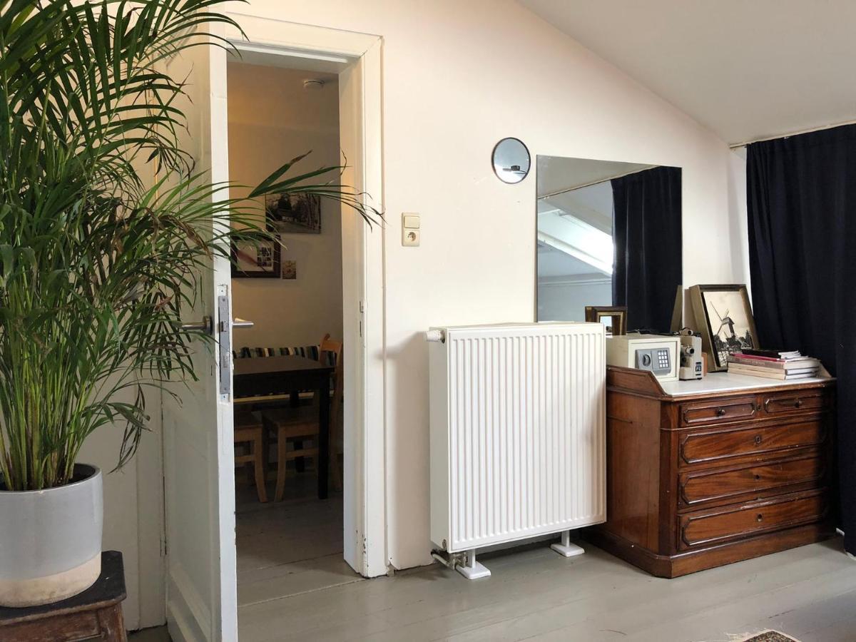 Aparthotel Bacchus - &